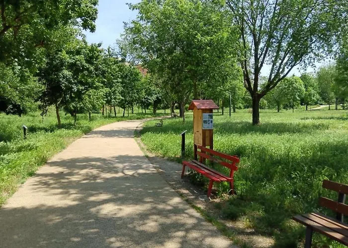 Vacanze Romane * Roma