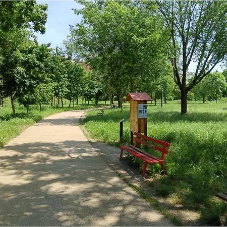 Vacanze Romane * Řím